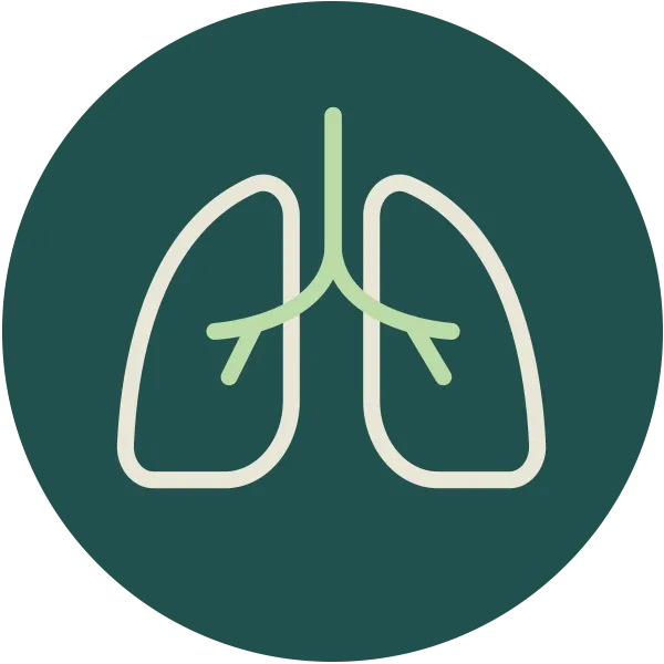 icon_respiratory-pulmonology